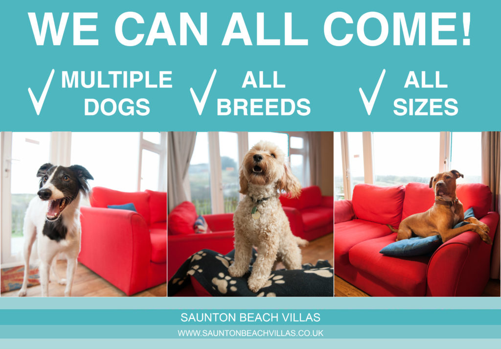 Saunton Beach Villas dog friendly accommodation