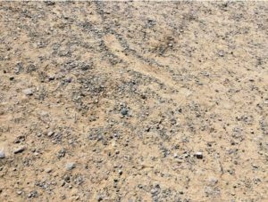 Saunton Beach Car Park Surface Photo
